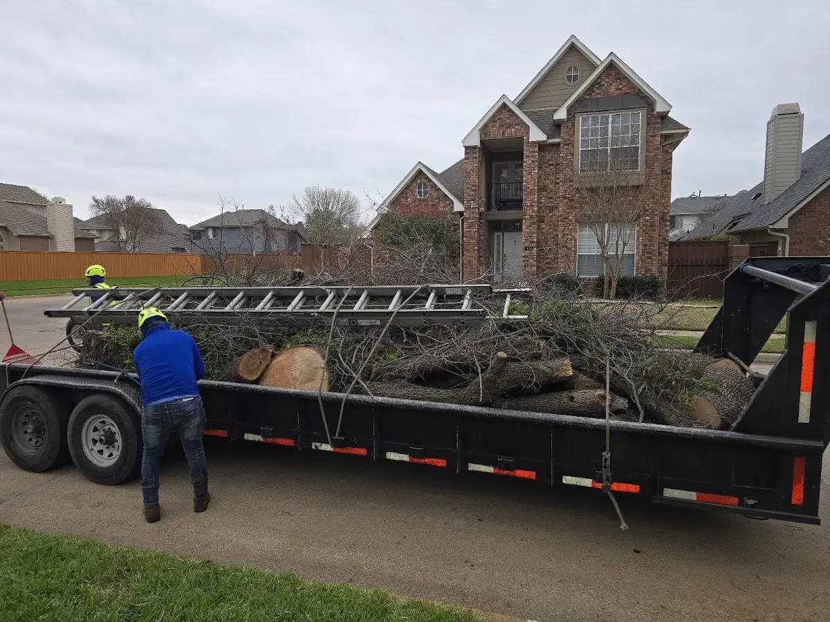 Expert Tree Fertilization with proper safety equipment in Castroville